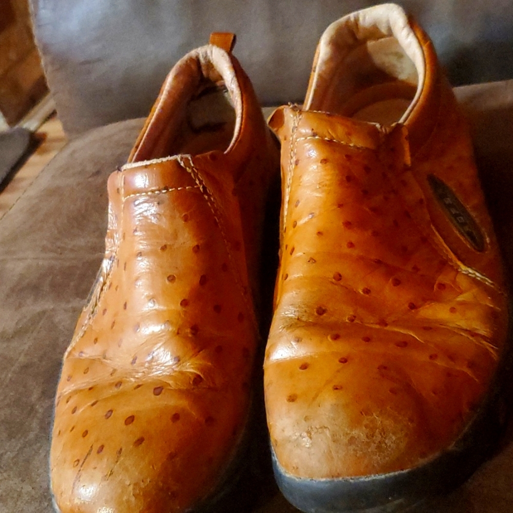 ROPER OSTRICH PRINT SLIP ON LOWS